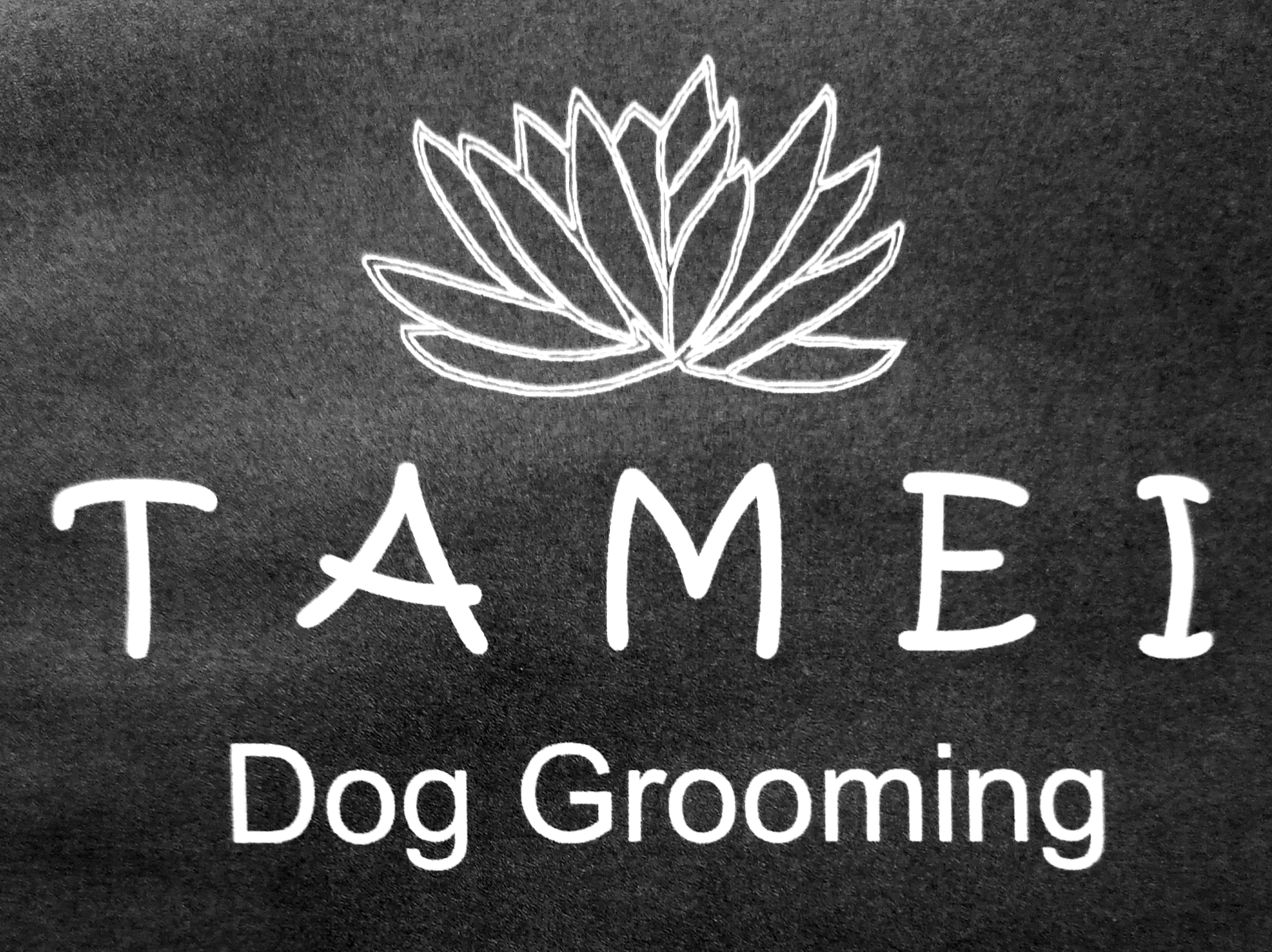Bild 2 Tamei-Dog-Grooming Hundesalon in Rheda-Wiedenbrück