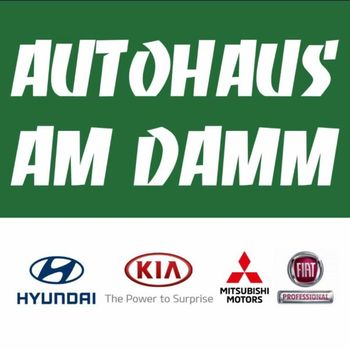 Logo von Autohaus Am Damm GmbH in Nienburg an der Weser