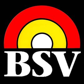 BSV Bau-Sanierung-Verwaltung GmbH Bauservice in Neunkirchen an der Saar