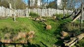 Nutzerbilder Zoologischer Garten der Landeshauptstadt Saarbrücken