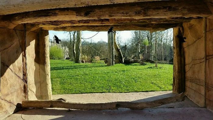 Nutzerbilder Zoologischer Garten der Landeshauptstadt Saarbrücken