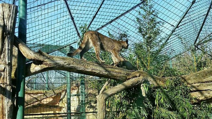 Nutzerbilder Zoologischer Garten der Landeshauptstadt Saarbrücken