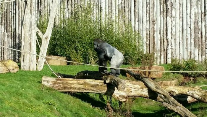 Nutzerbilder Zoologischer Garten der Landeshauptstadt Saarbrücken