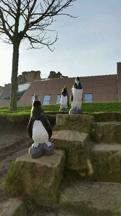 Nutzerbilder Zoo am Meer Bremerhaven GmbH