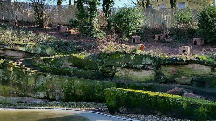 Nutzerbilder Zoologischer Garten der Landeshauptstadt Saarbrücken