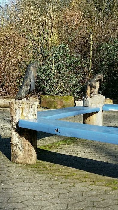 Nutzerbilder Zoologischer Garten der Landeshauptstadt Saarbrücken