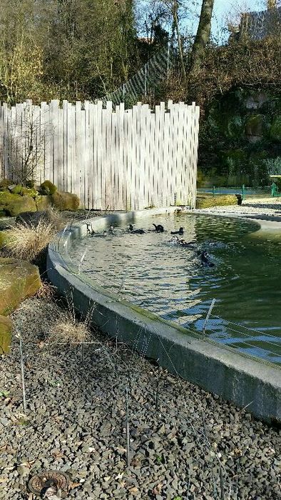 Nutzerbilder Zoologischer Garten der Landeshauptstadt Saarbrücken