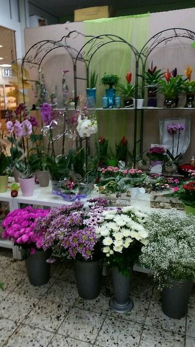 Schnittblumen und Orchideen
