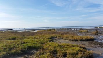 Bild zu surfschule-cuxhaven.de - Inh. J. Hinrichs