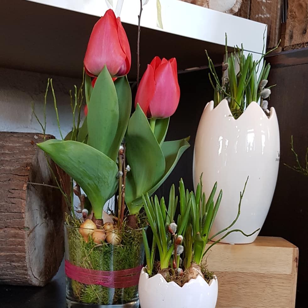 Tulpen als Geschenk