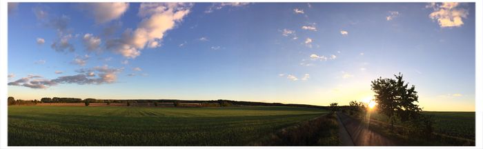 Hainichhöfe am Waldrand gelegen.