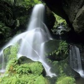 Gasthof Lichtenhainer Wasserfall Inh. König Rainer in Sebnitz Lichtenhain