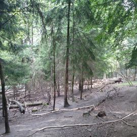 Heimat-Tierpark Olderdissen in Bielefeld