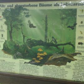 Heimat-Tierpark Olderdissen in Bielefeld