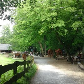 Heimat-Tierpark Olderdissen in Bielefeld