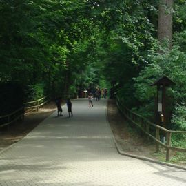 Heimat-Tierpark Olderdissen in Bielefeld