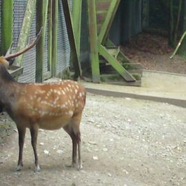 Heimat-Tierpark Olderdissen in Bielefeld