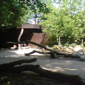 Allwetterzoo in Münster