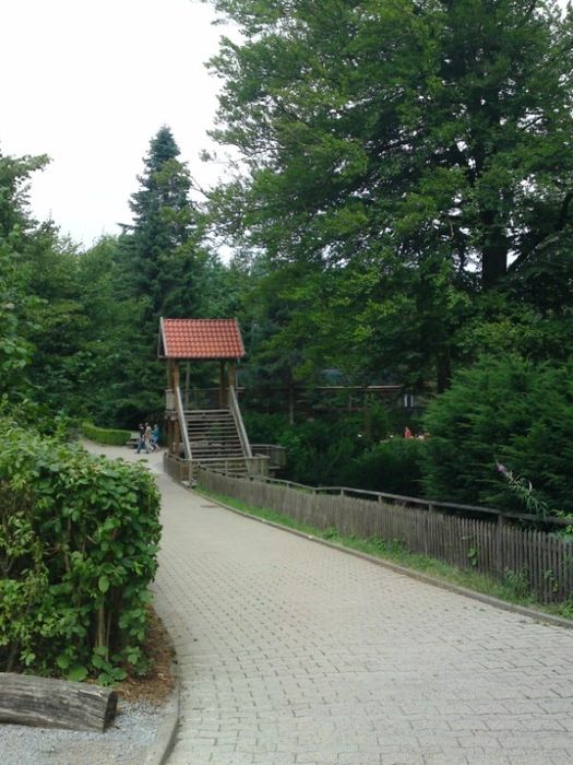 Nutzerbilder Heimat-Tierpark Olderdissen