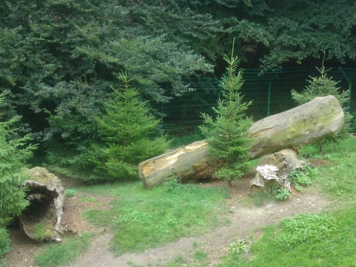 Nutzerbilder Heimat-Tierpark Olderdissen