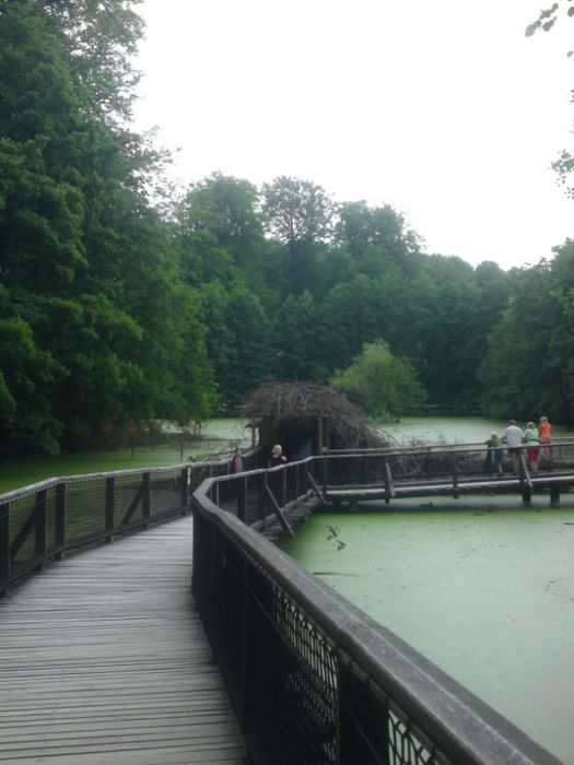 Nutzerbilder Heimat-Tierpark Olderdissen