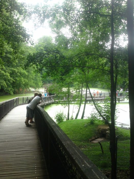 Nutzerbilder Heimat-Tierpark Olderdissen