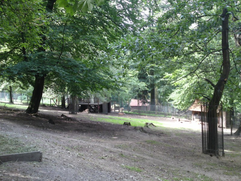 Bild 160 Heimat-Tierpark Olderdissen in Bielefeld
