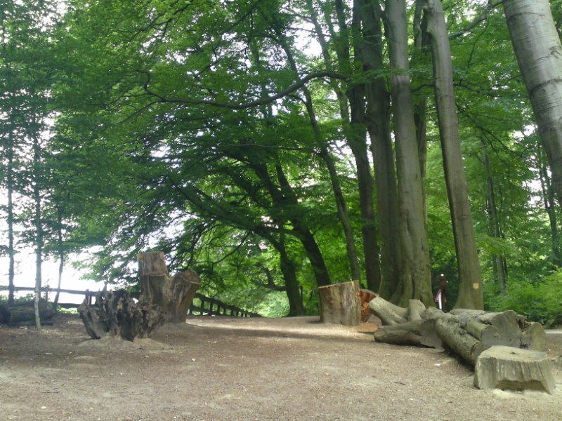 Bild 170 Heimat-Tierpark Olderdissen in Bielefeld