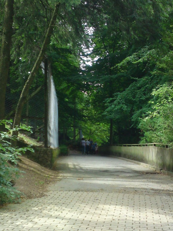 Bild 245 Heimat-Tierpark Olderdissen in Bielefeld