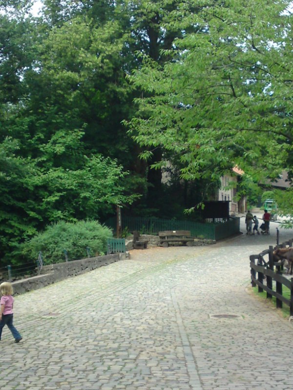 Bild 245 Heimat-Tierpark Olderdissen in Bielefeld
