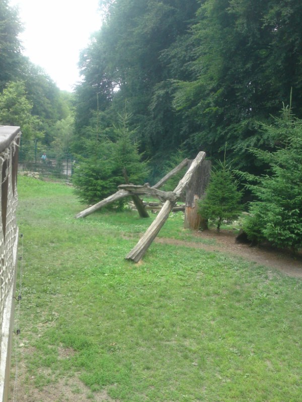 Bild 124 Heimat-Tierpark Olderdissen in Bielefeld