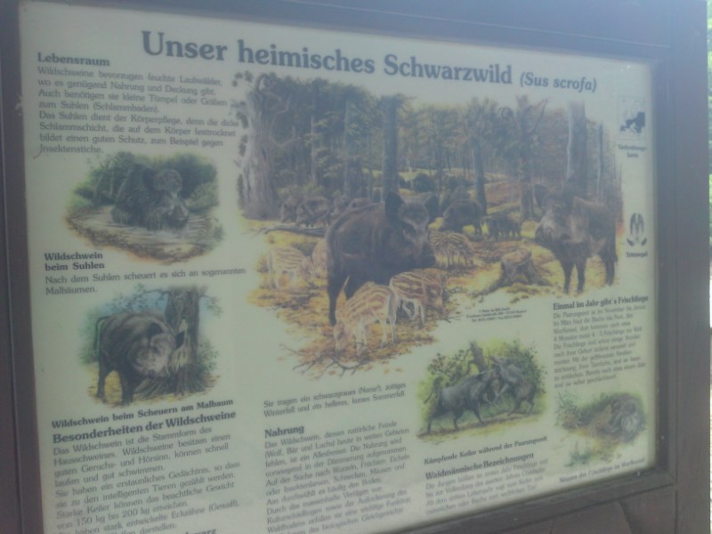 Bild 106 Heimat-Tierpark Olderdissen in Bielefeld