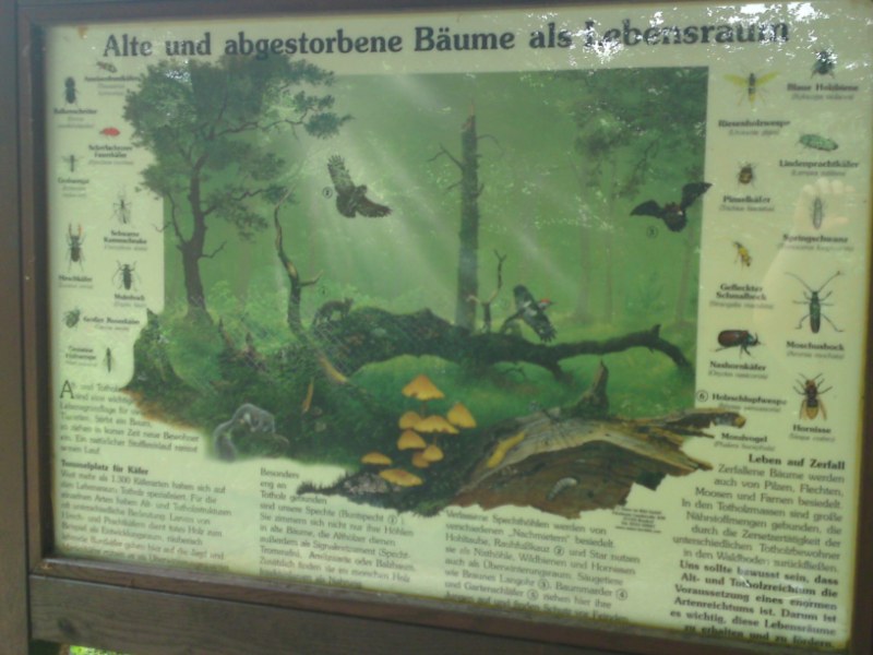 Bild 153 Heimat-Tierpark Olderdissen in Bielefeld