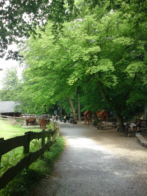 Bild 172 Heimat-Tierpark Olderdissen in Bielefeld