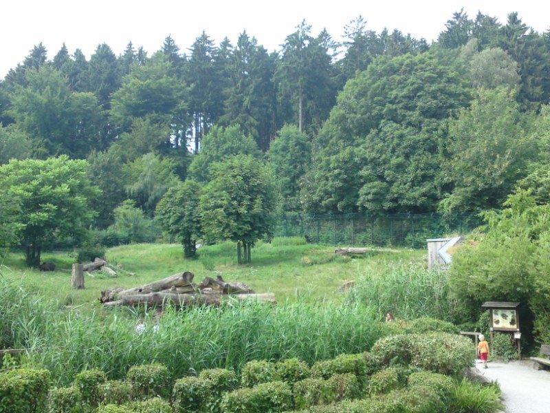 Bild 191 Heimat-Tierpark Olderdissen in Bielefeld