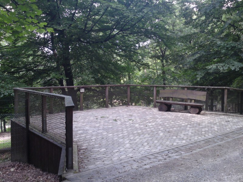 Bild 166 Heimat-Tierpark Olderdissen in Bielefeld