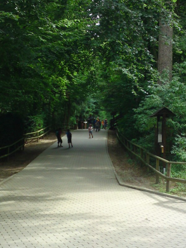Bild 246 Heimat-Tierpark Olderdissen in Bielefeld