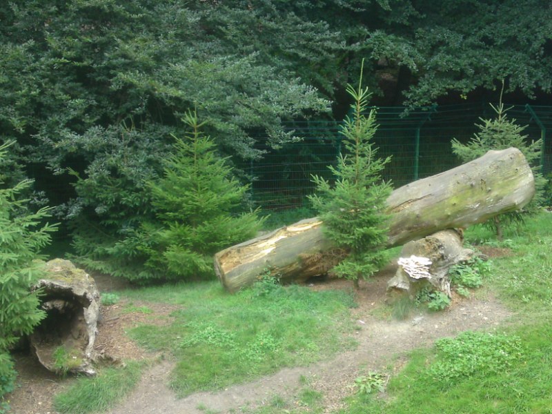 Bild 80 Heimat-Tierpark Olderdissen in Bielefeld