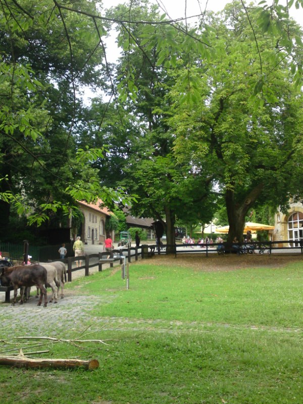 Bild 248 Heimat-Tierpark Olderdissen in Bielefeld