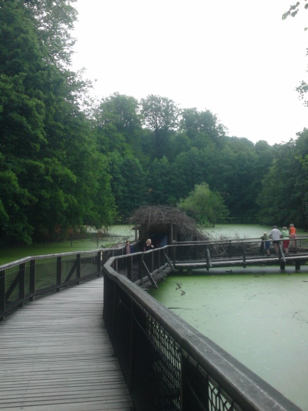 Bild 86 Heimat-Tierpark Olderdissen in Bielefeld