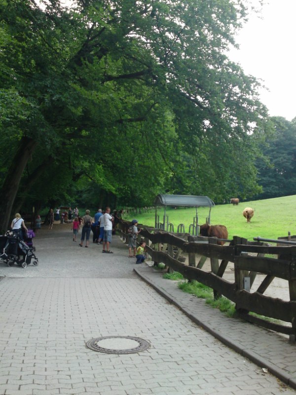 Bild 209 Heimat-Tierpark Olderdissen in Bielefeld