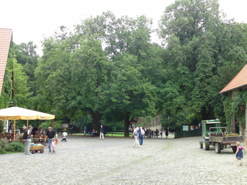 Bild 268 Heimat-Tierpark Olderdissen in Bielefeld