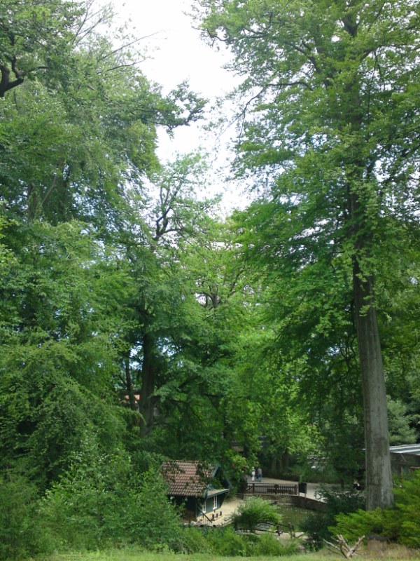 Bild 194 Heimat-Tierpark Olderdissen in Bielefeld