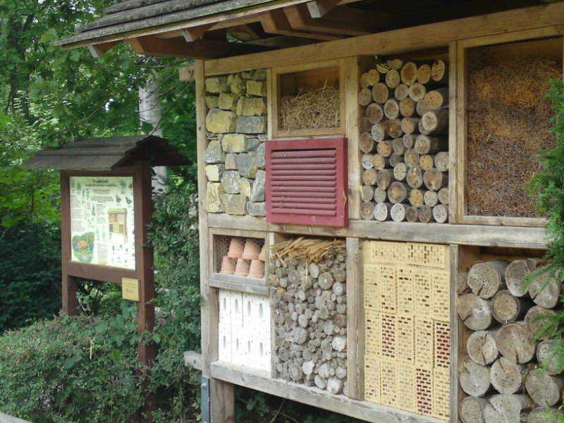 Bild 201 Heimat-Tierpark Olderdissen in Bielefeld