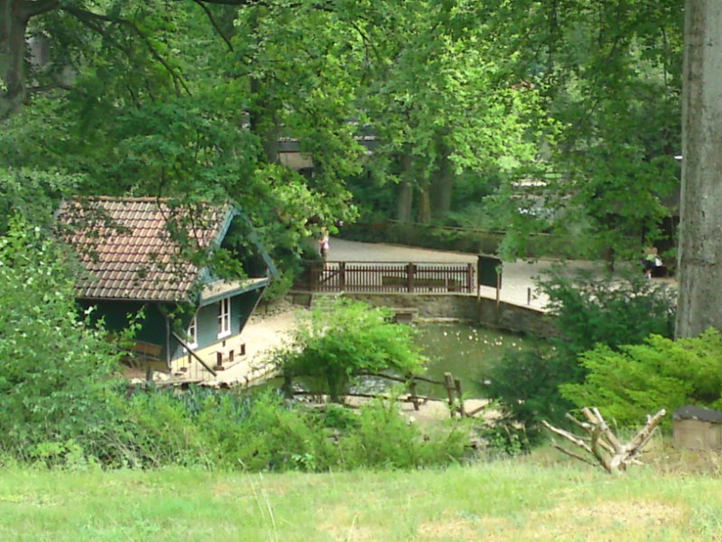 Bild 193 Heimat-Tierpark Olderdissen in Bielefeld