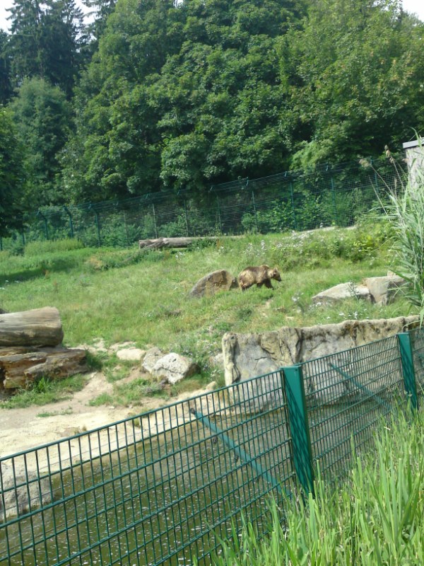 Bild 177 Heimat-Tierpark Olderdissen in Bielefeld