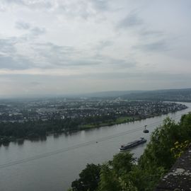 Blick von oben auf den Rhein