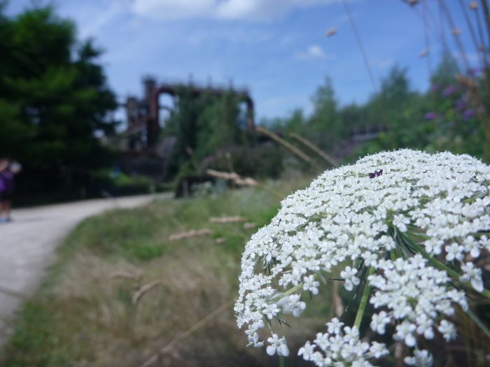 Nutzerbilder Weltkulturerbe Völklinger Hütte GmbH