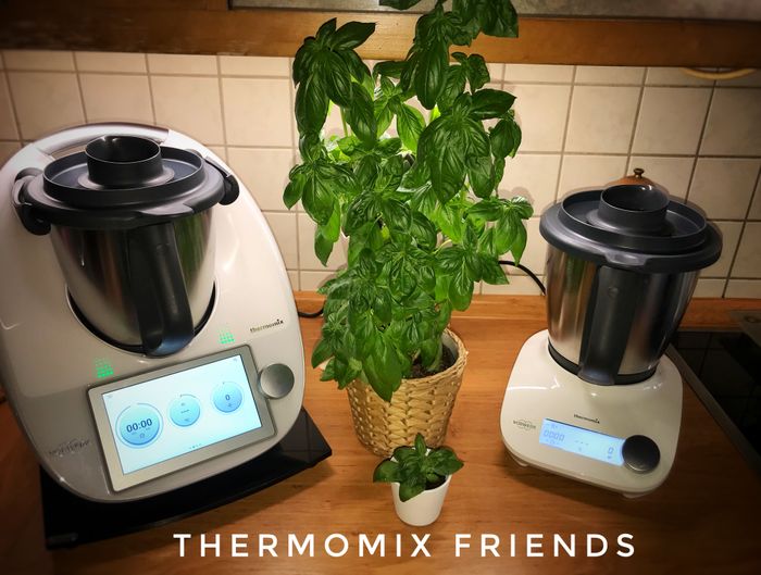 Bärbel Günther Thermomix Repräsentantin, Beratung und Vorführung