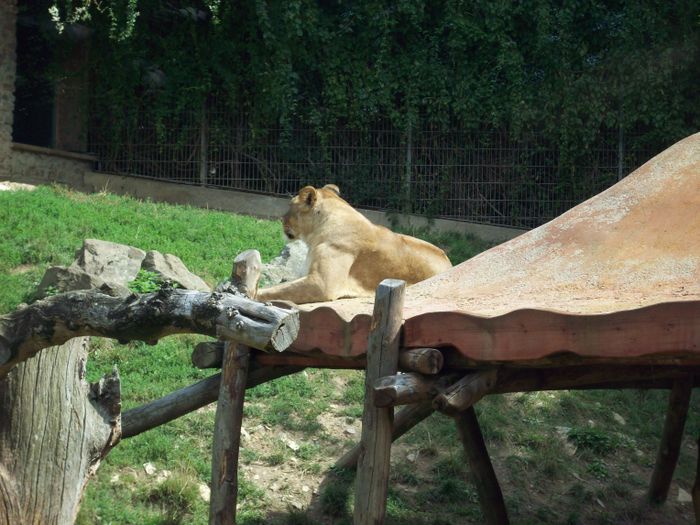 Nutzerbilder Zoo Osnabrück gGmbH